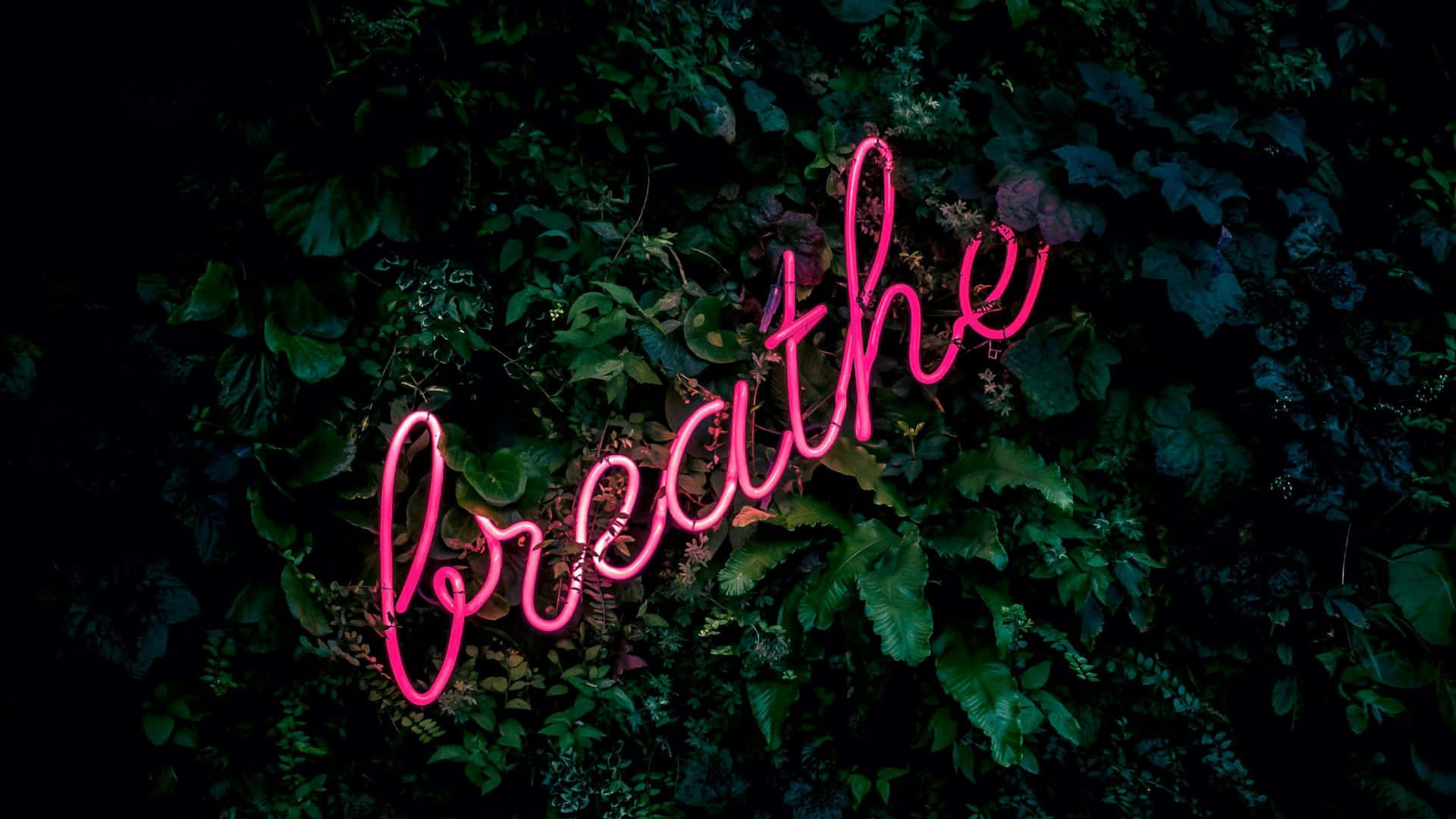 Tanda Neon Merah Muda Breathe Wallpaper