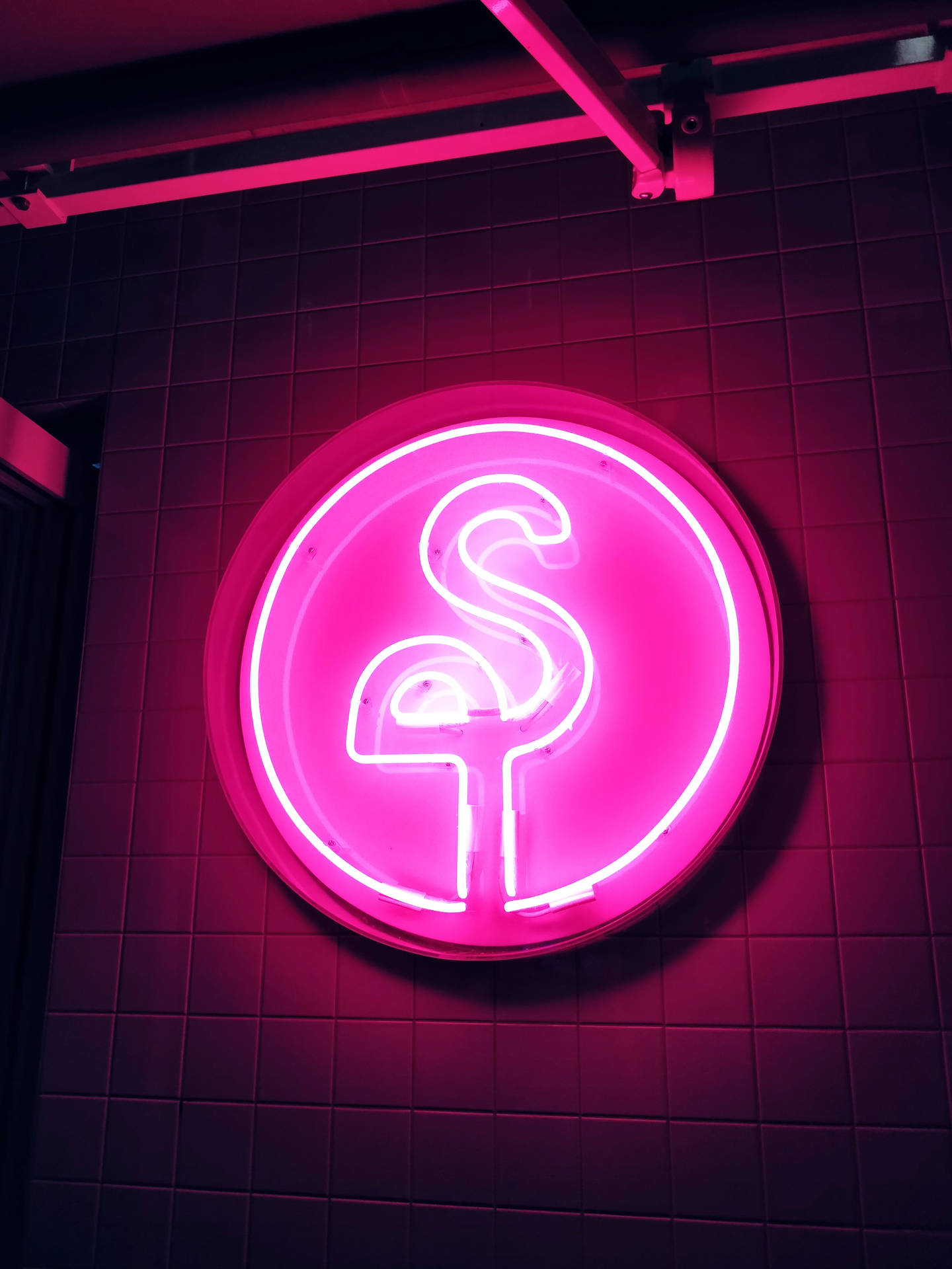 Pink Neon Flamingo Led Signboard Wallpaper