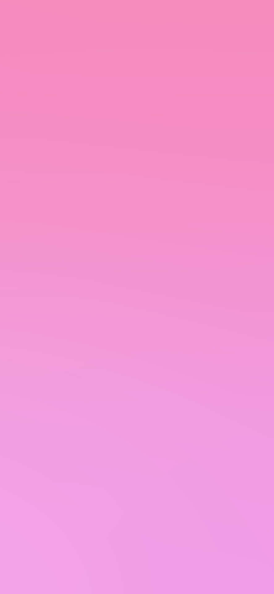 Pink Ombre Background 1125 X 2436