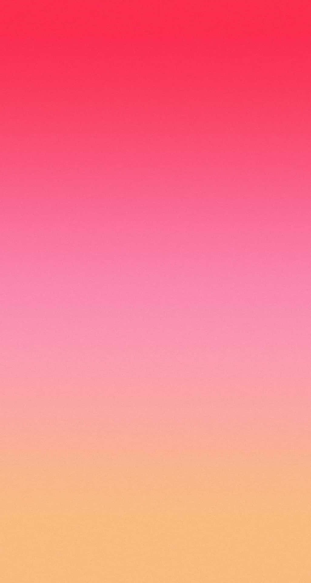 Pink Ombre Background 1308 X 2448