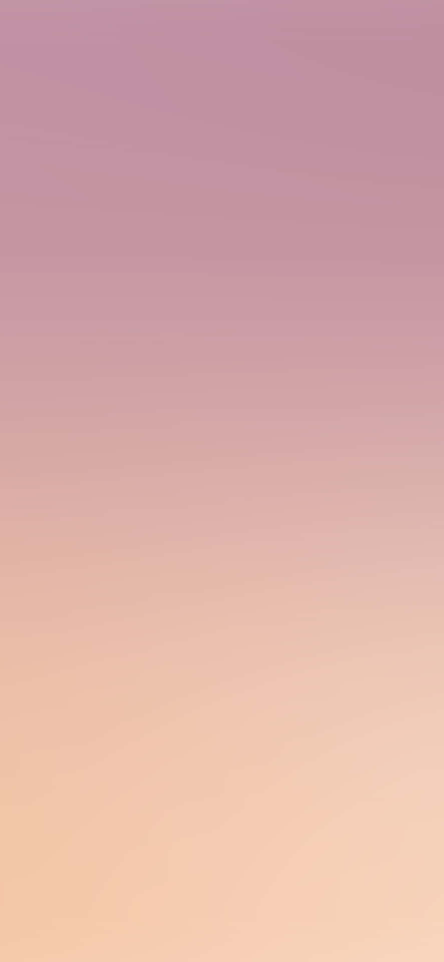 Pink Ombre Gradient Background