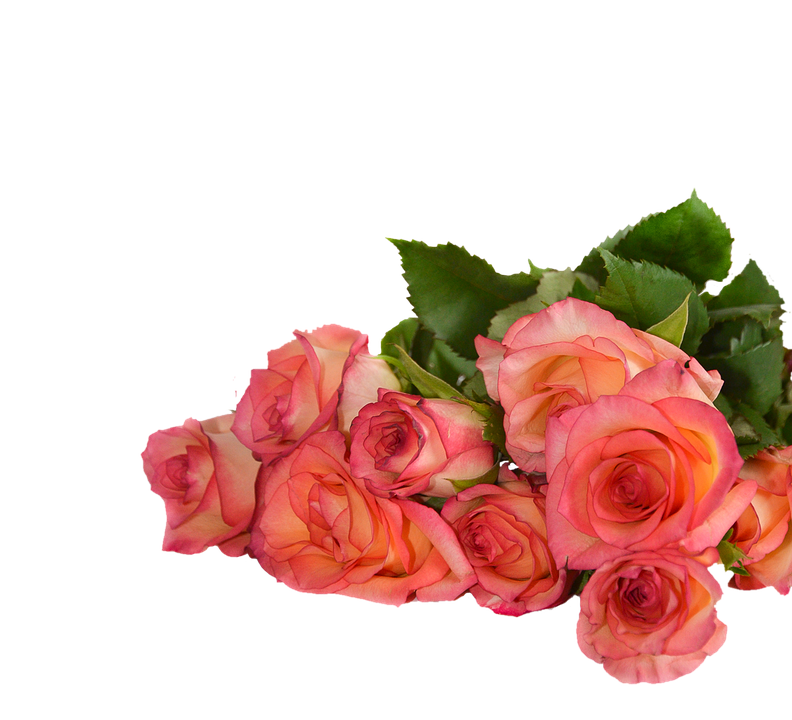 Pink Orange Roses Bouquet PNG