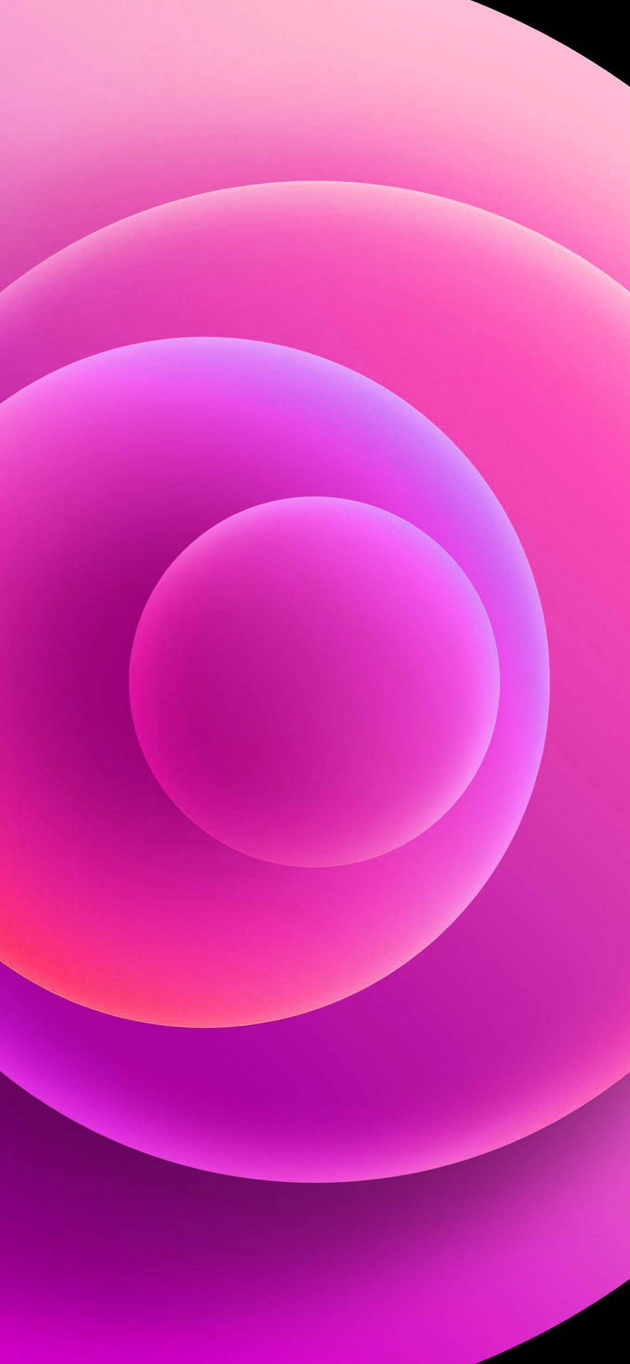 Pink Orbs Iphone 12 Background
