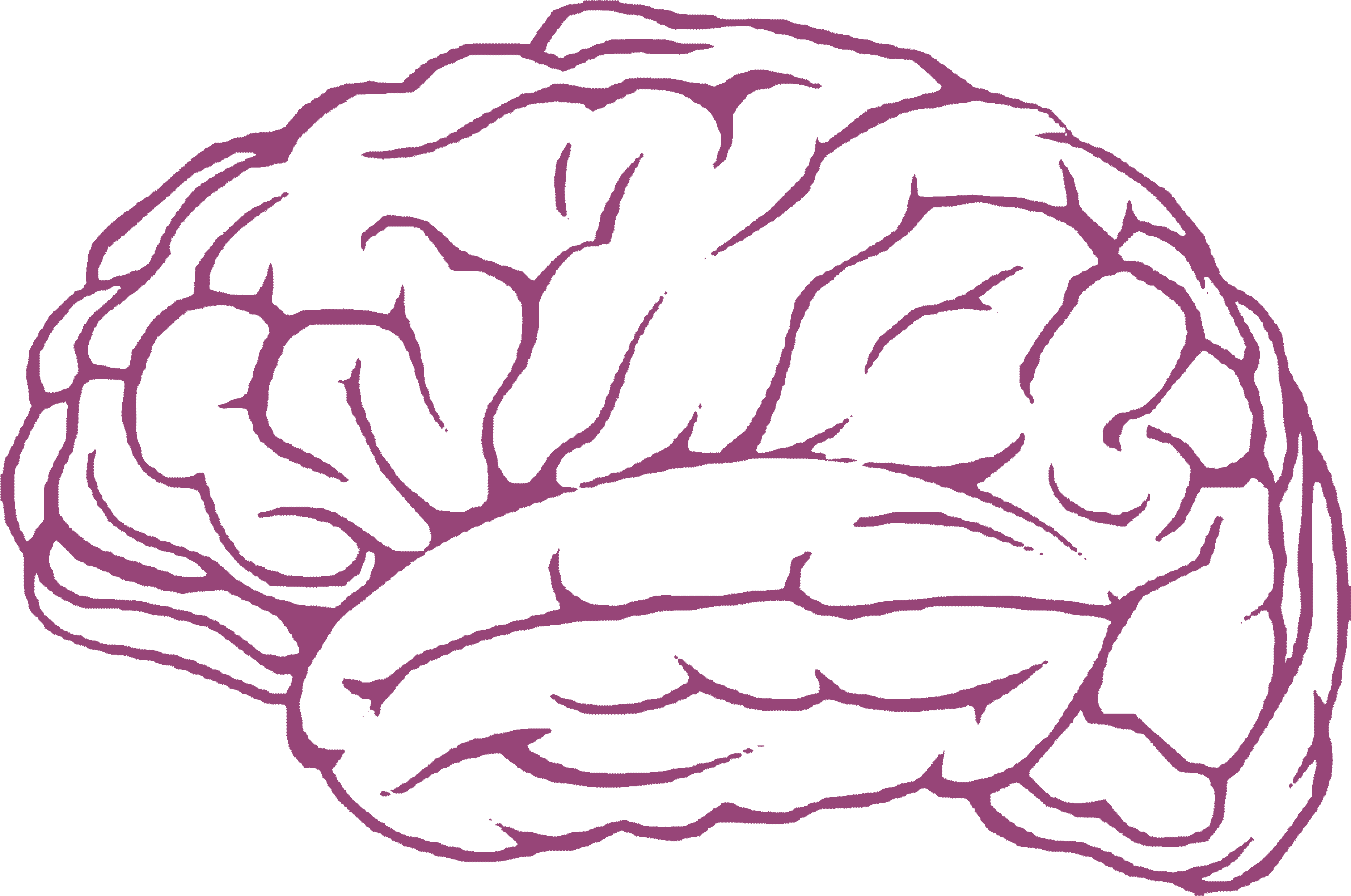 Pink Outline Brain Illustration PNG