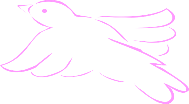 Pink Outlined Bird Silhouette PNG