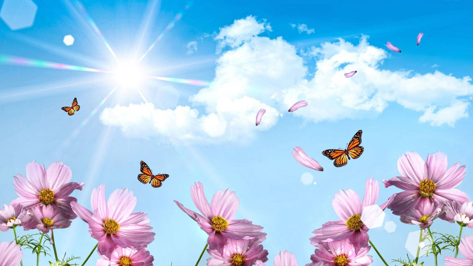 Pink Pansy And Butterflies Wallpaper