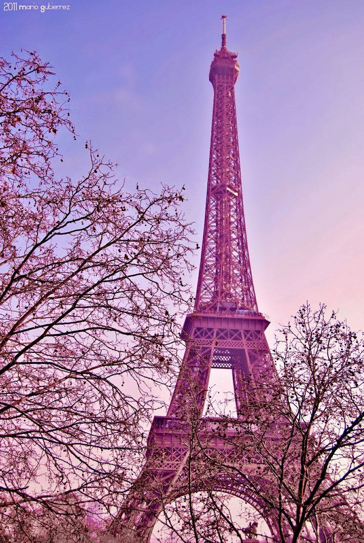 Download Pink Paris Eiffel Tower With Trees Wallpaper 
