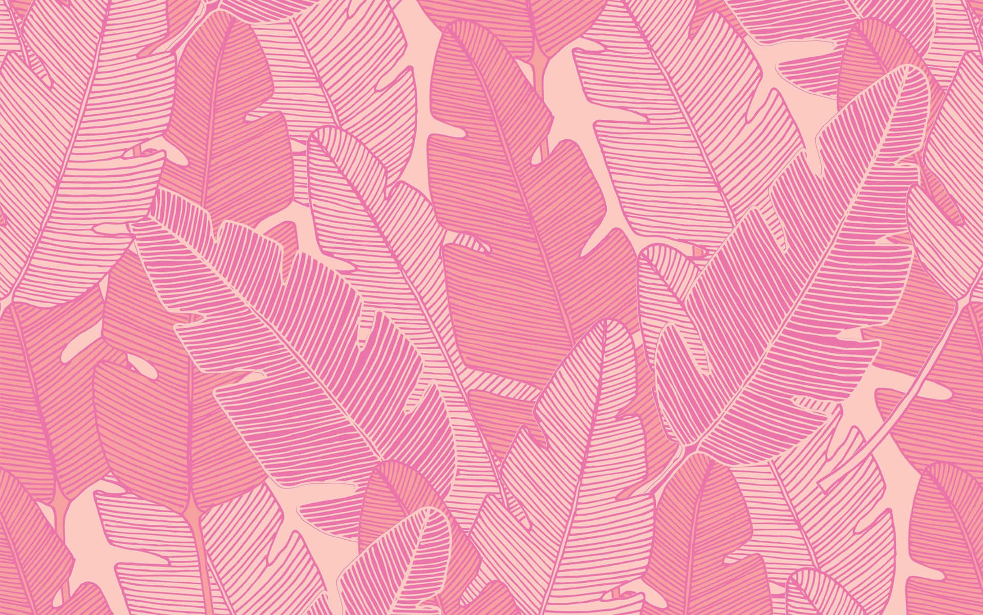 Abstract Pink Pattern Wallpaper Wallpaper