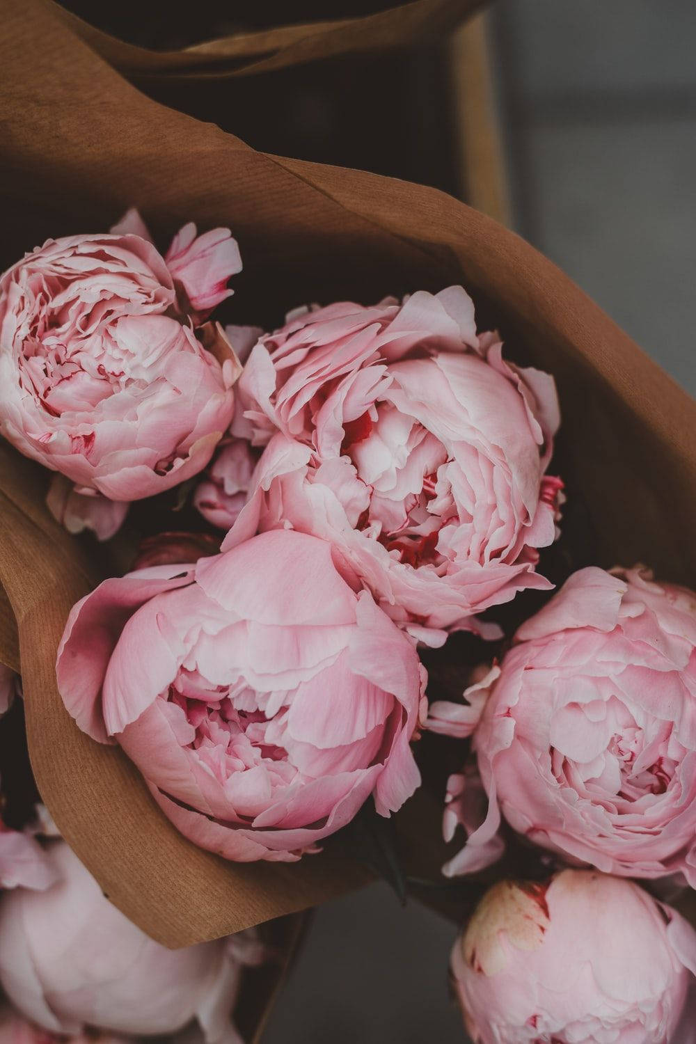 Caption: "Glorious Pink Peony Bouquet Wrapped in Brown Paper" Wallpaper