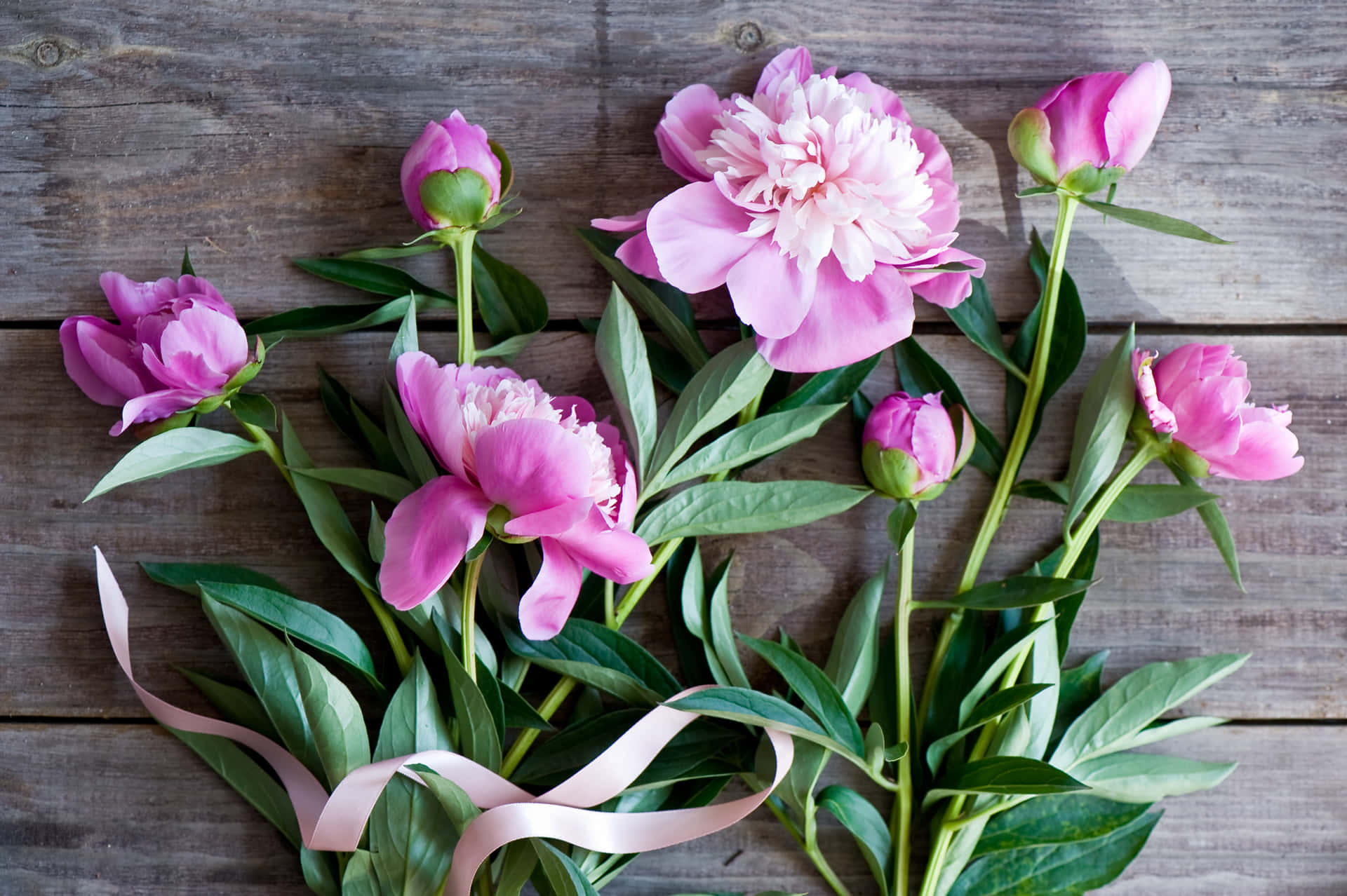 Pink Peony Bouquet Wooden Background Wallpaper