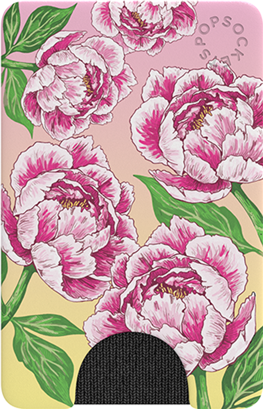 Pink Peony Illustration PNG