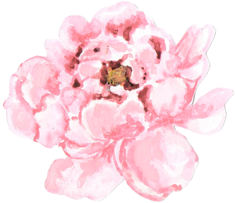 Pink Peony Watercolor Art PNG