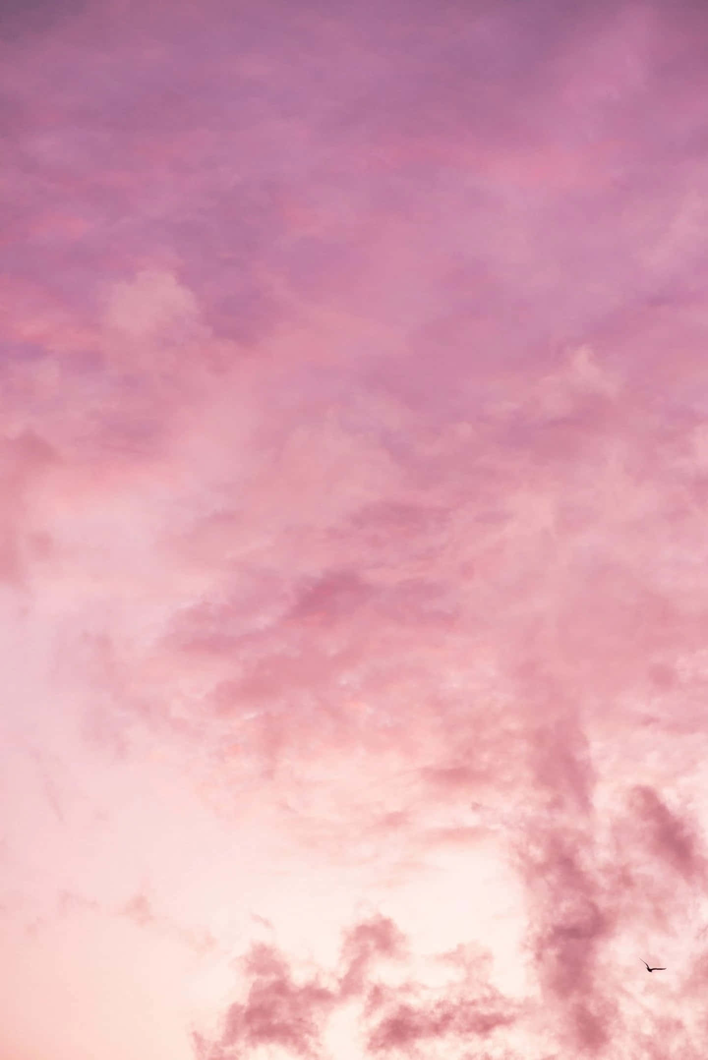 Add some personal flair to your phone with this stylish Pink Phone background.