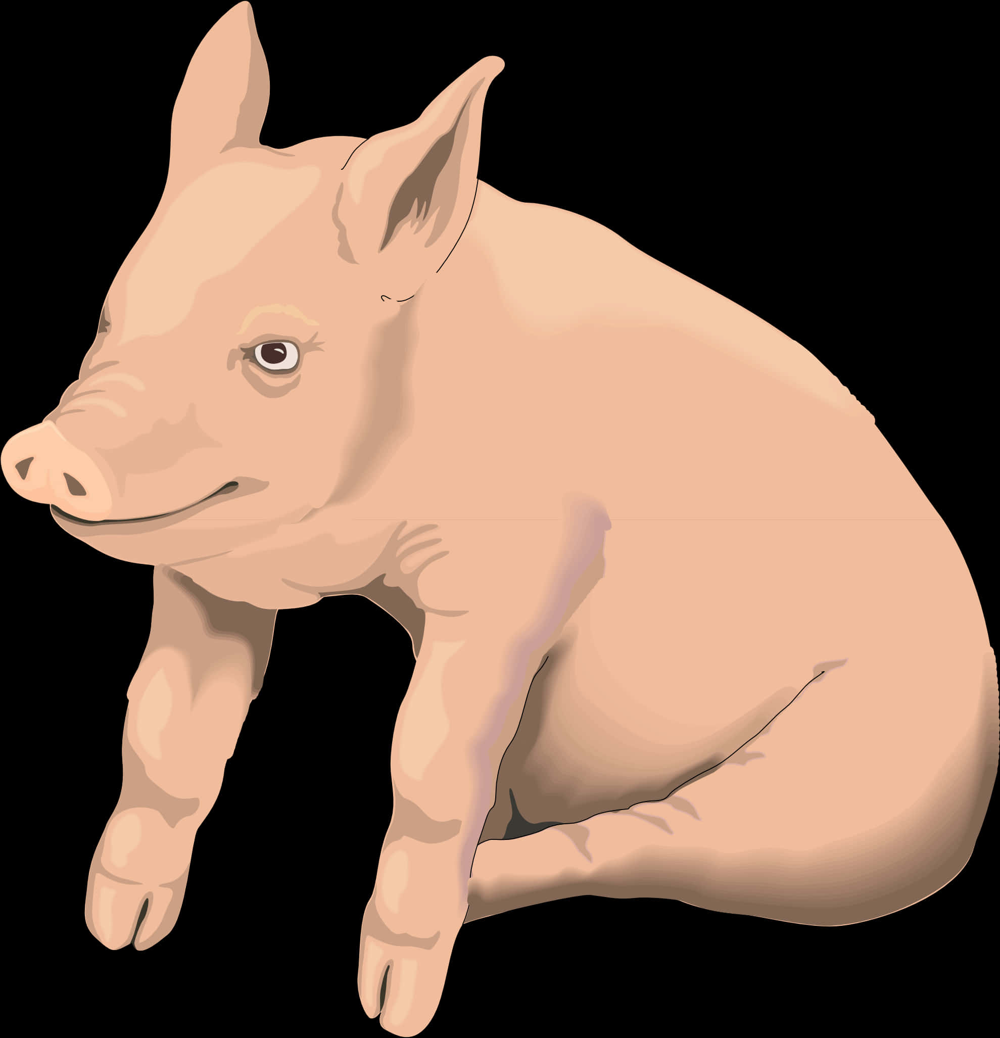 Pink Pig Illustration PNG