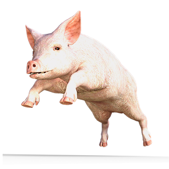 Pink Pig Transparent Background PNG