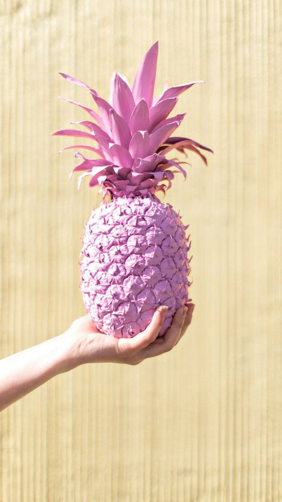 Pink Pineapple Photography Wallpaper