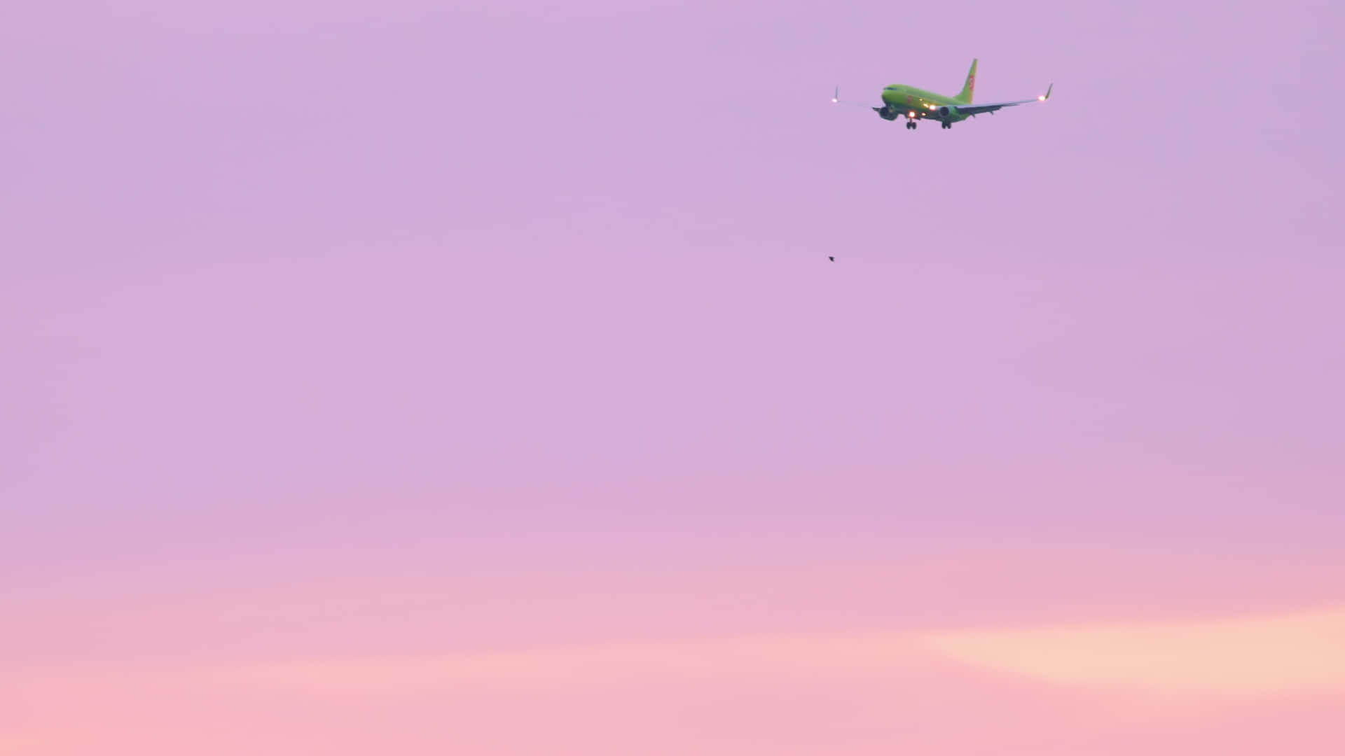 Einhellrosa Flugzeug Hebt Ab In Den Himmel. Wallpaper
