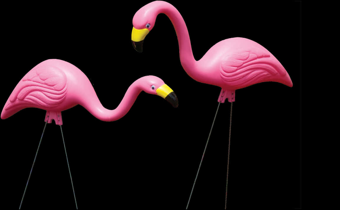Pink Plastic Flamingos Black Background PNG