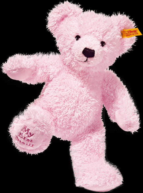Pink Plush Teddy Bear PNG