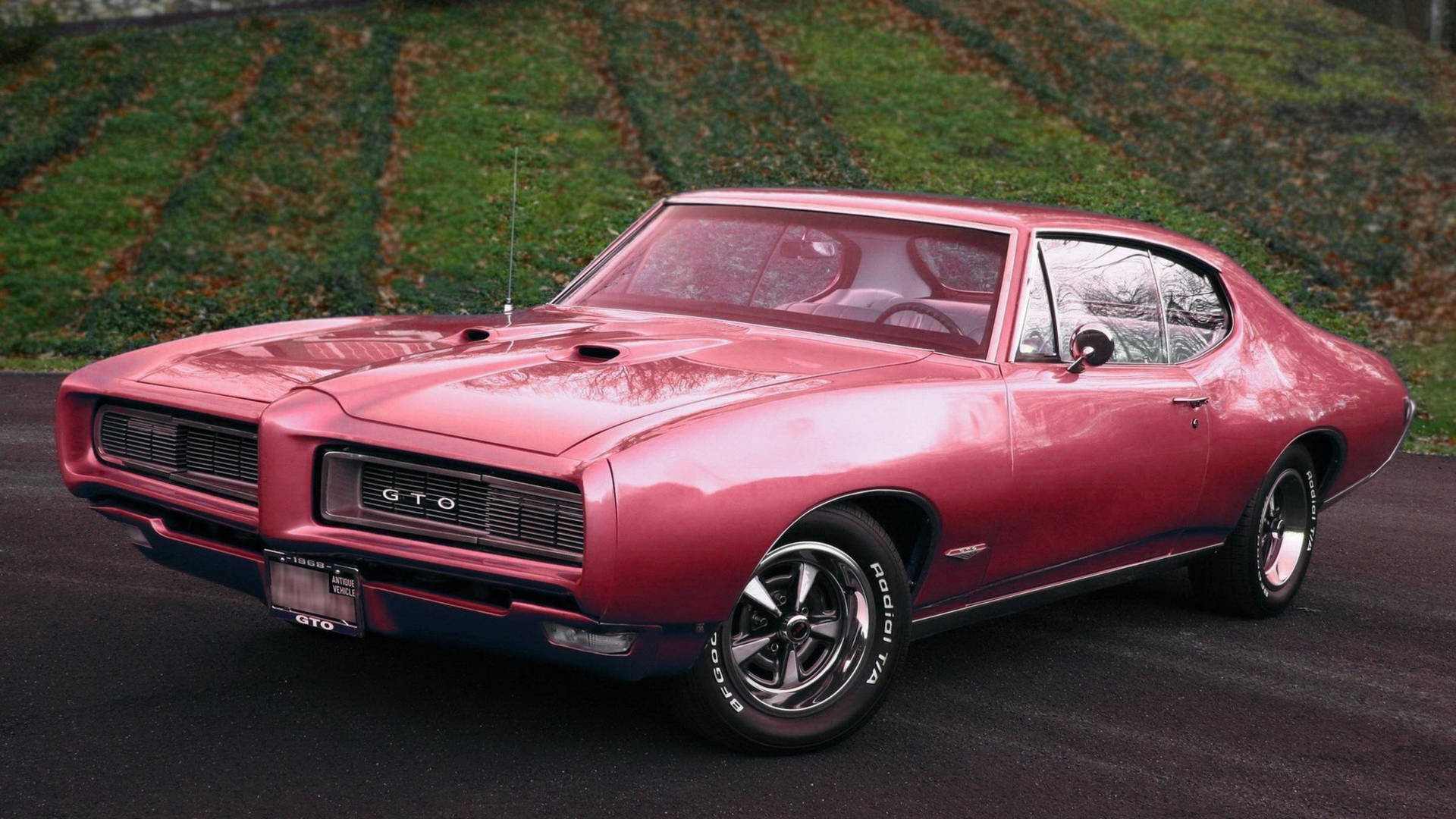 Classic Pink Pontiac GTO in High Definition Wallpaper