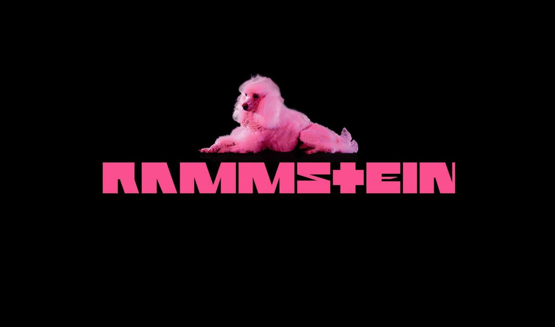 Logo Rammstein Poodle Pink Wallpaper