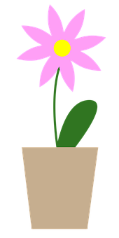 Pink Potted Flower Illustration PNG