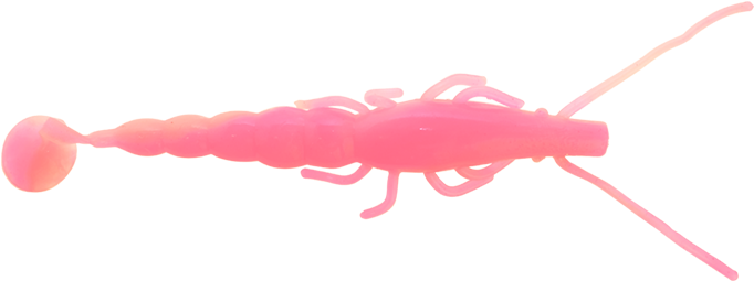 Pink Prawn Transparent Background PNG