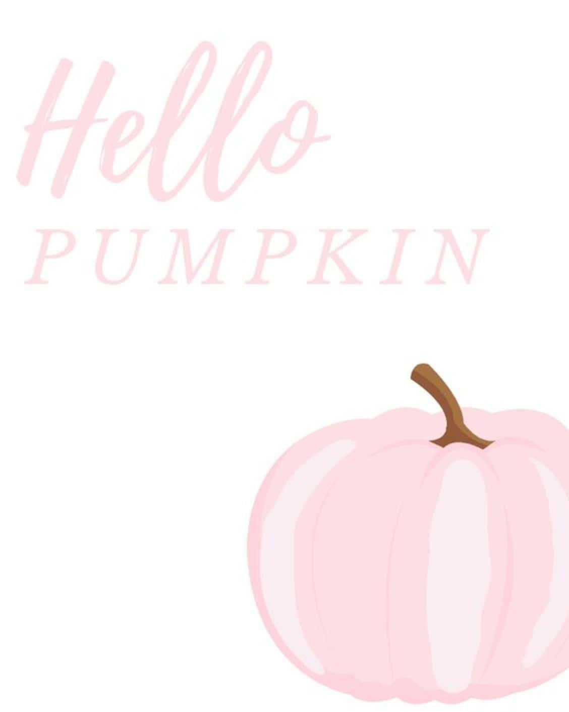 A brightly-colored pink pumpkin Wallpaper