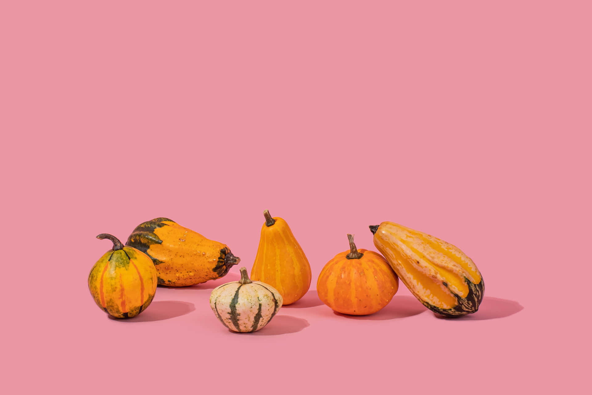 Celebrate Fall with a Pink Pumpkin Wallpaper