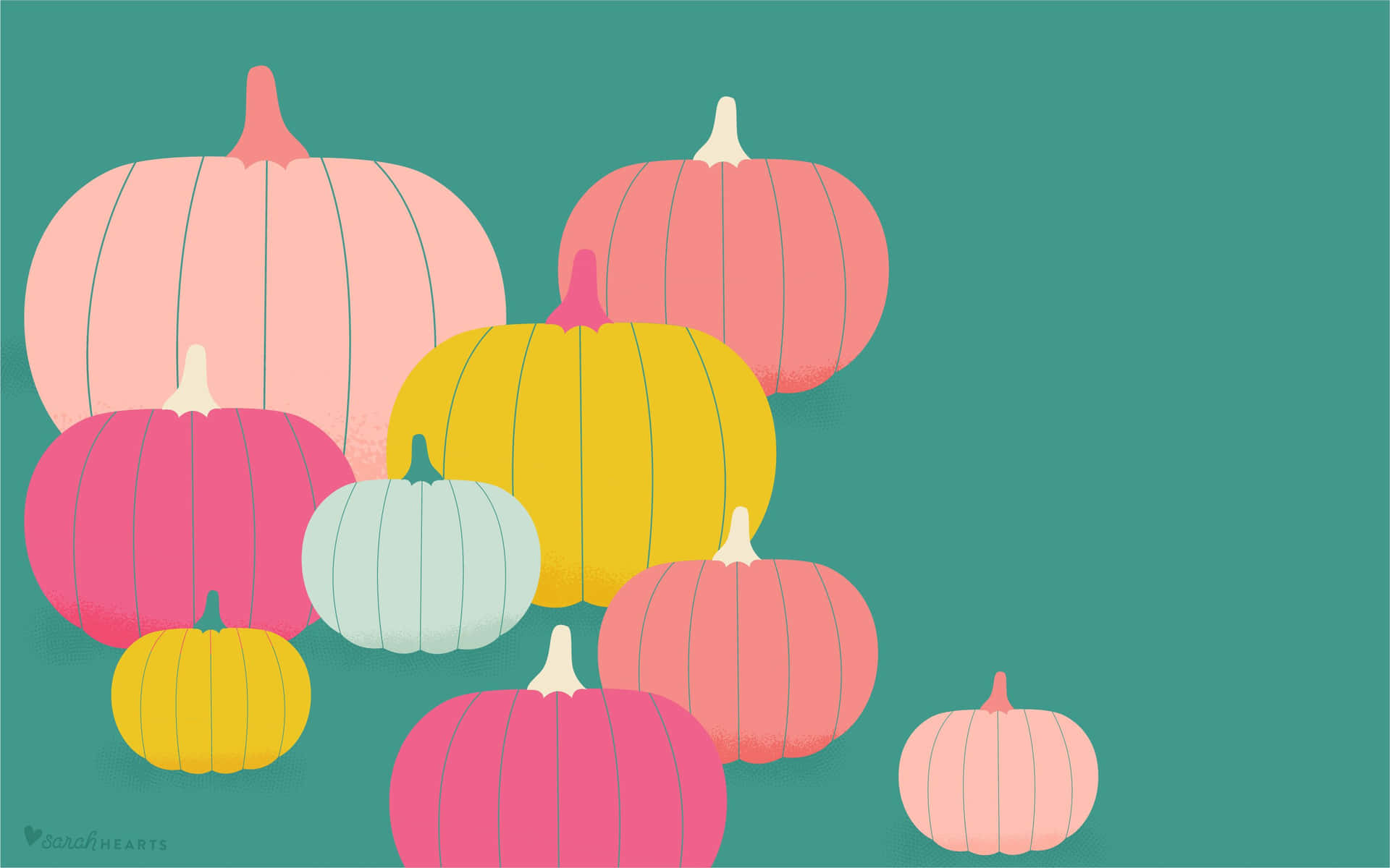 Fall field of pink pumpkins. Wallpaper