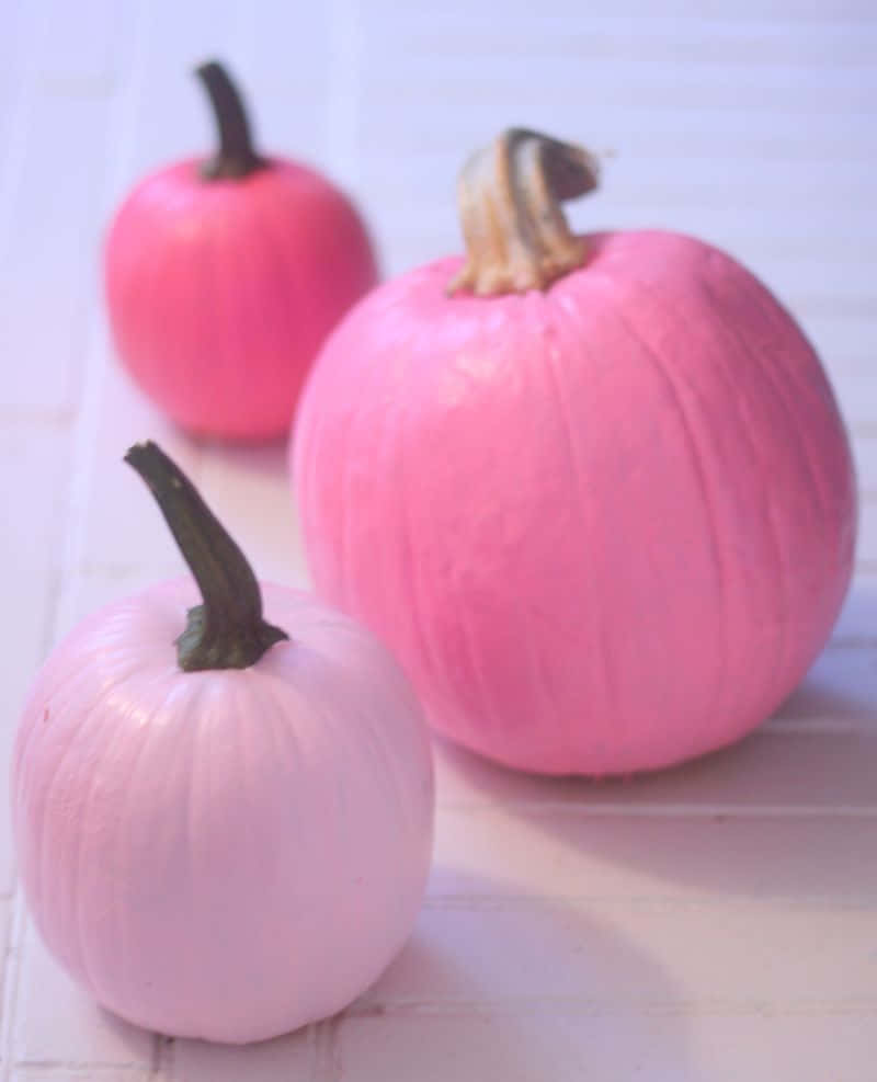 A bright pink pumpkin provides the perfect autumnal decor Wallpaper