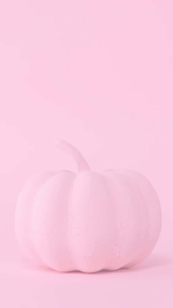 En lys og munter pink græskar budbringer af efteråret sæsonen Wallpaper