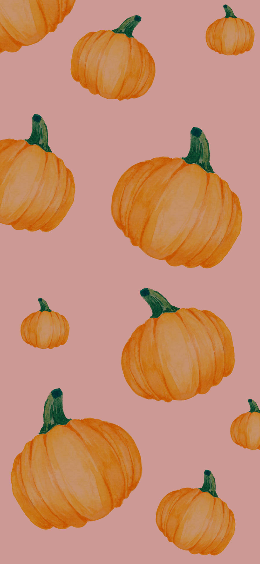 Rosakürbisse Herbst Halloween Hintergrund Wallpaper