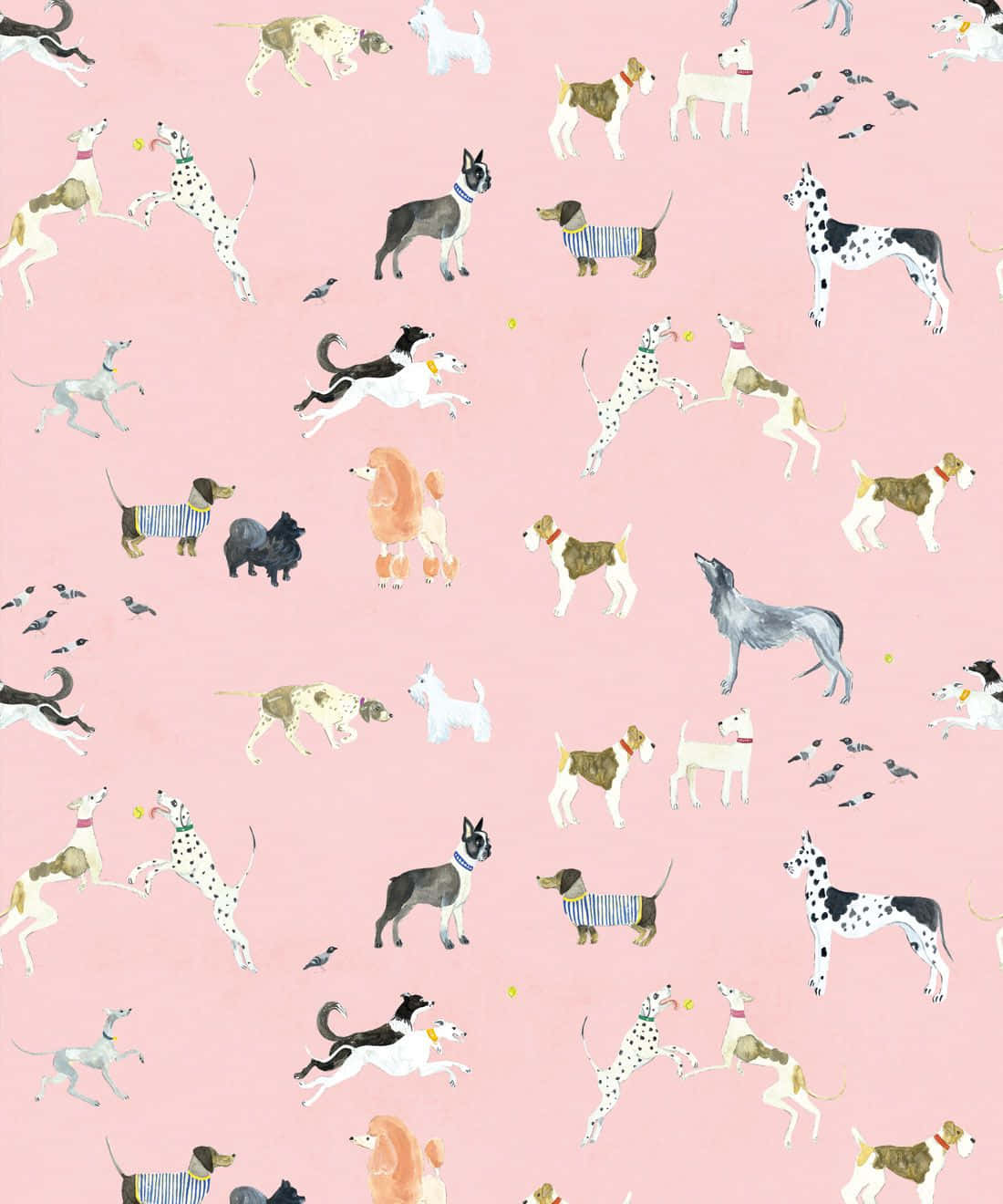 Adorable Pink Puppies Wallpaper