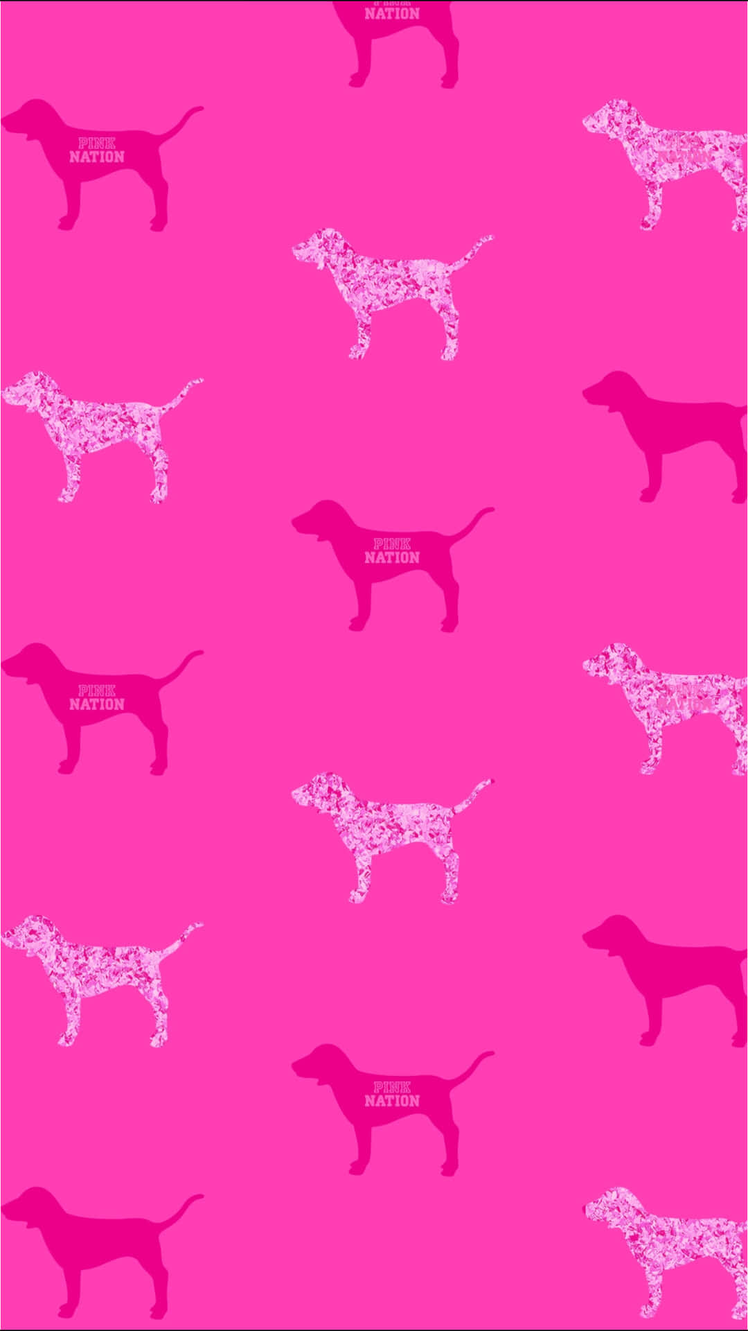 Dachshunds On A Pink Background Wallpaper