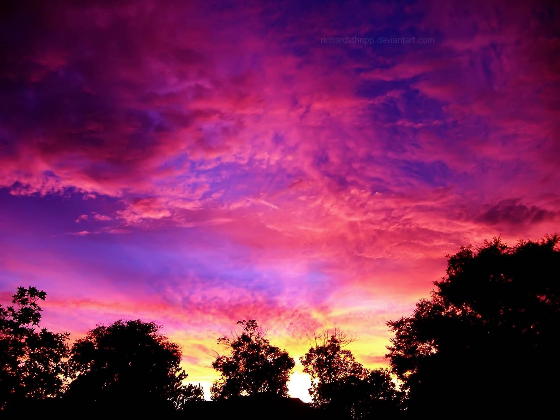 Download Pink Purple Sunset Skies Wallpaper 