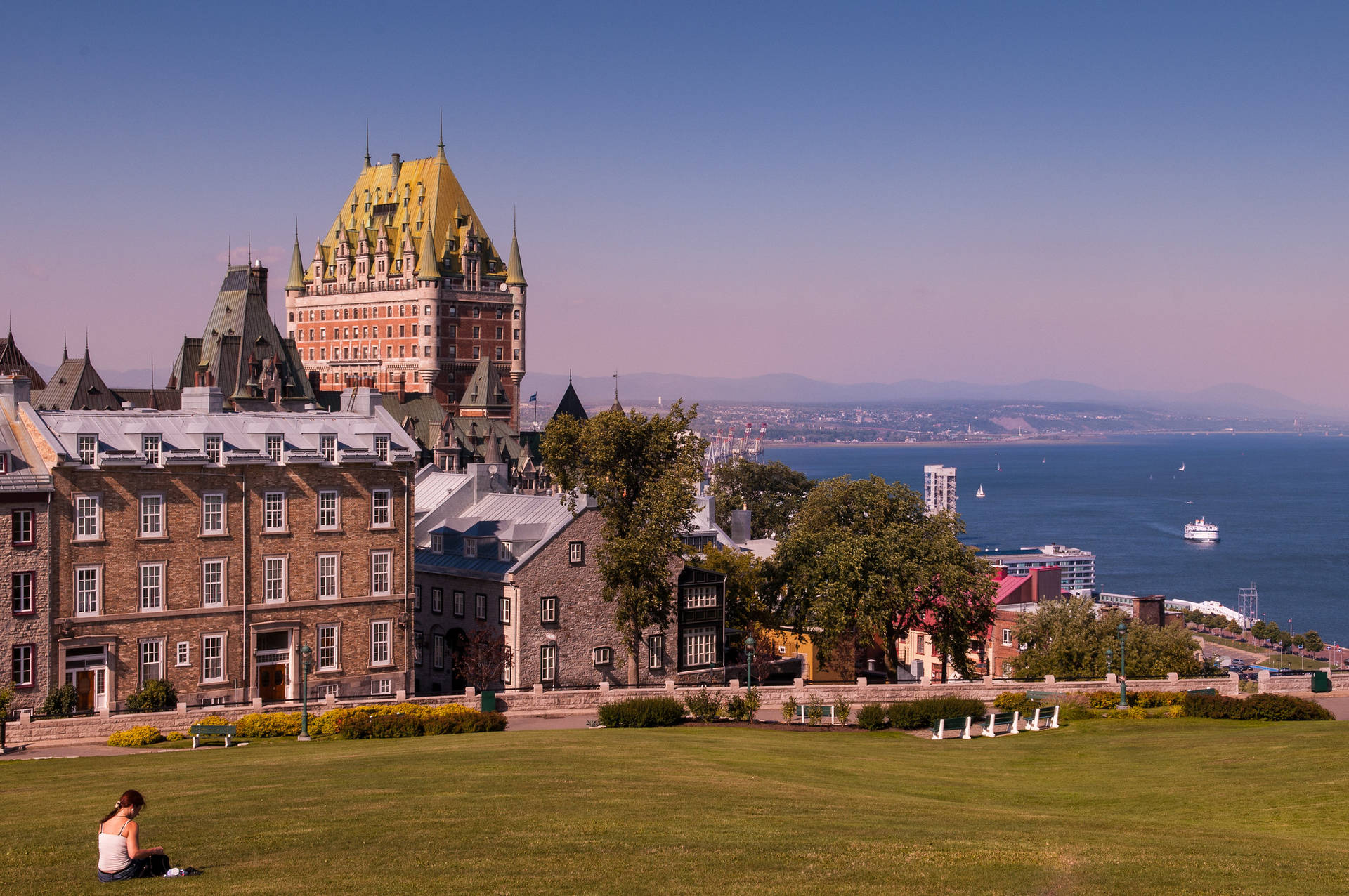Lyserød Quebec City felt af lavendel tapet Wallpaper