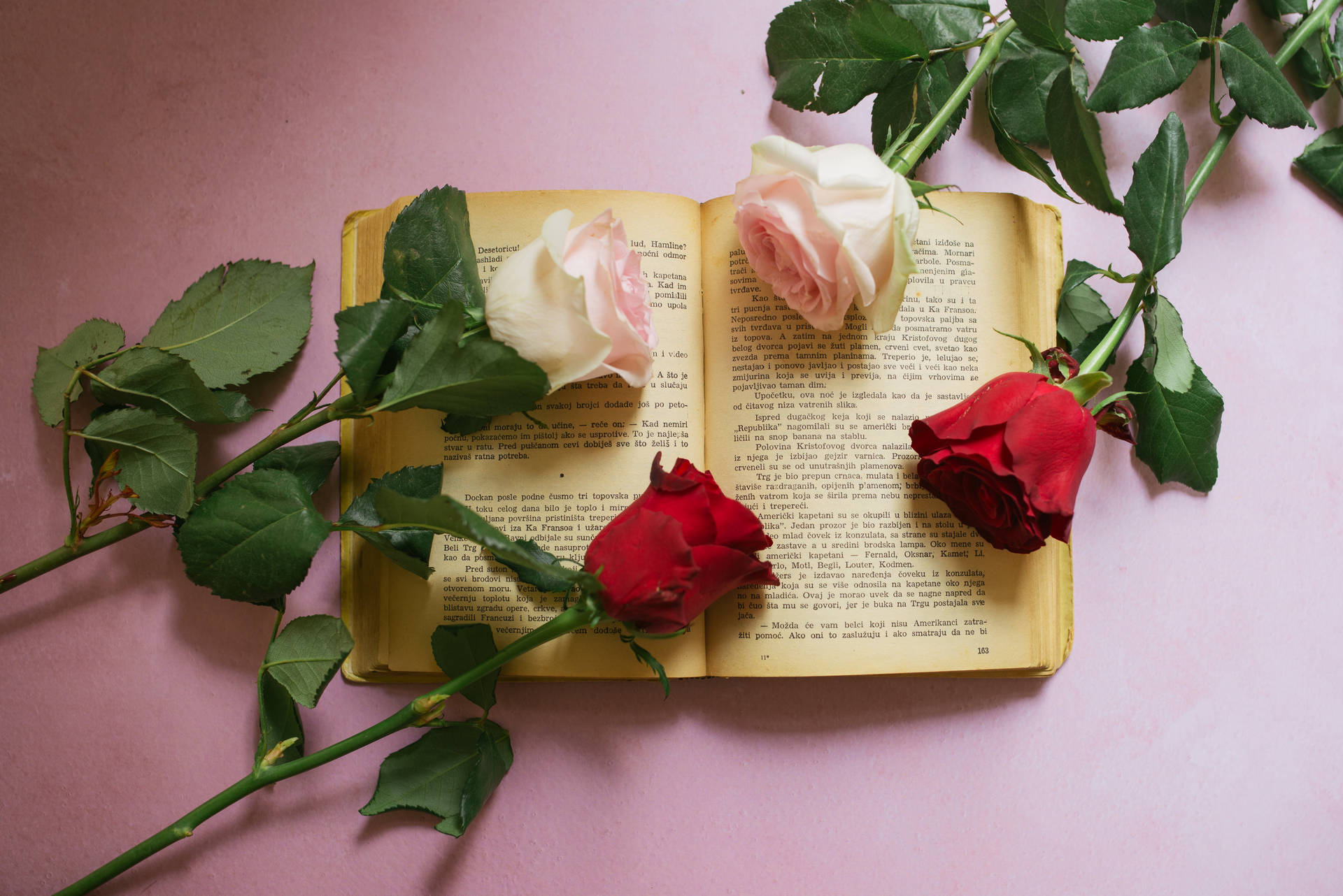 Pink Red Roses Aesthetic Book Desktop Wallpaper