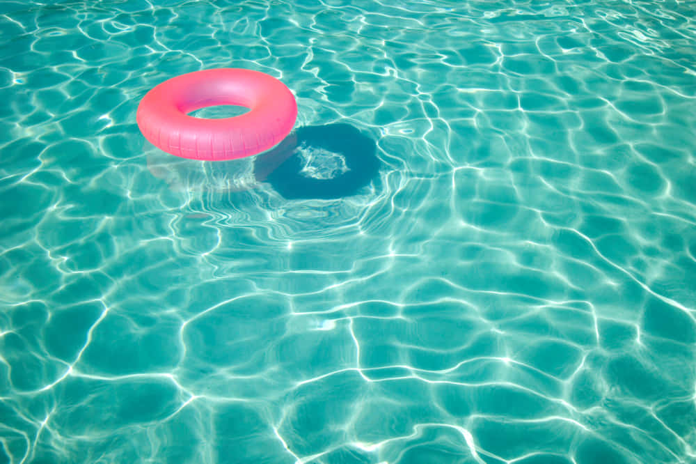 Pink Ring Floater Pool Water Wallpaper