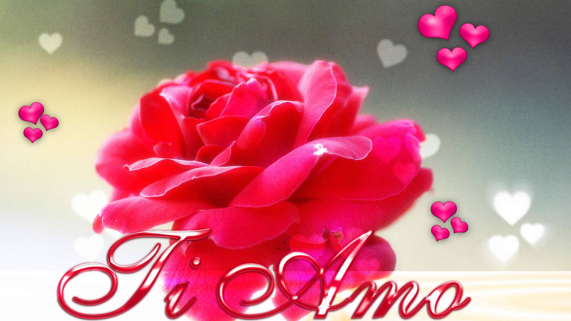 Pink Rose And Hearts Te Amo Wallpaper