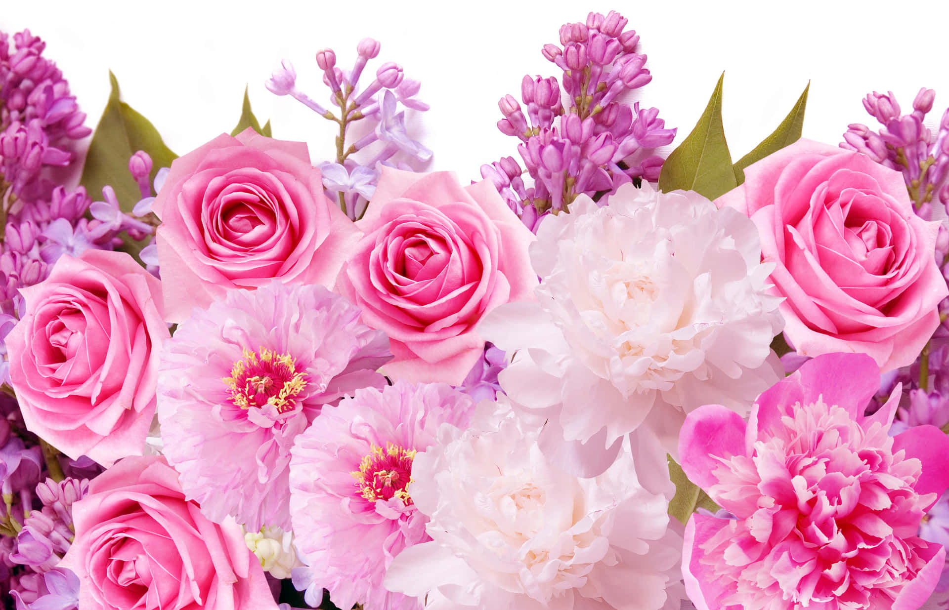 Pink And Purple Flowers In A Vase