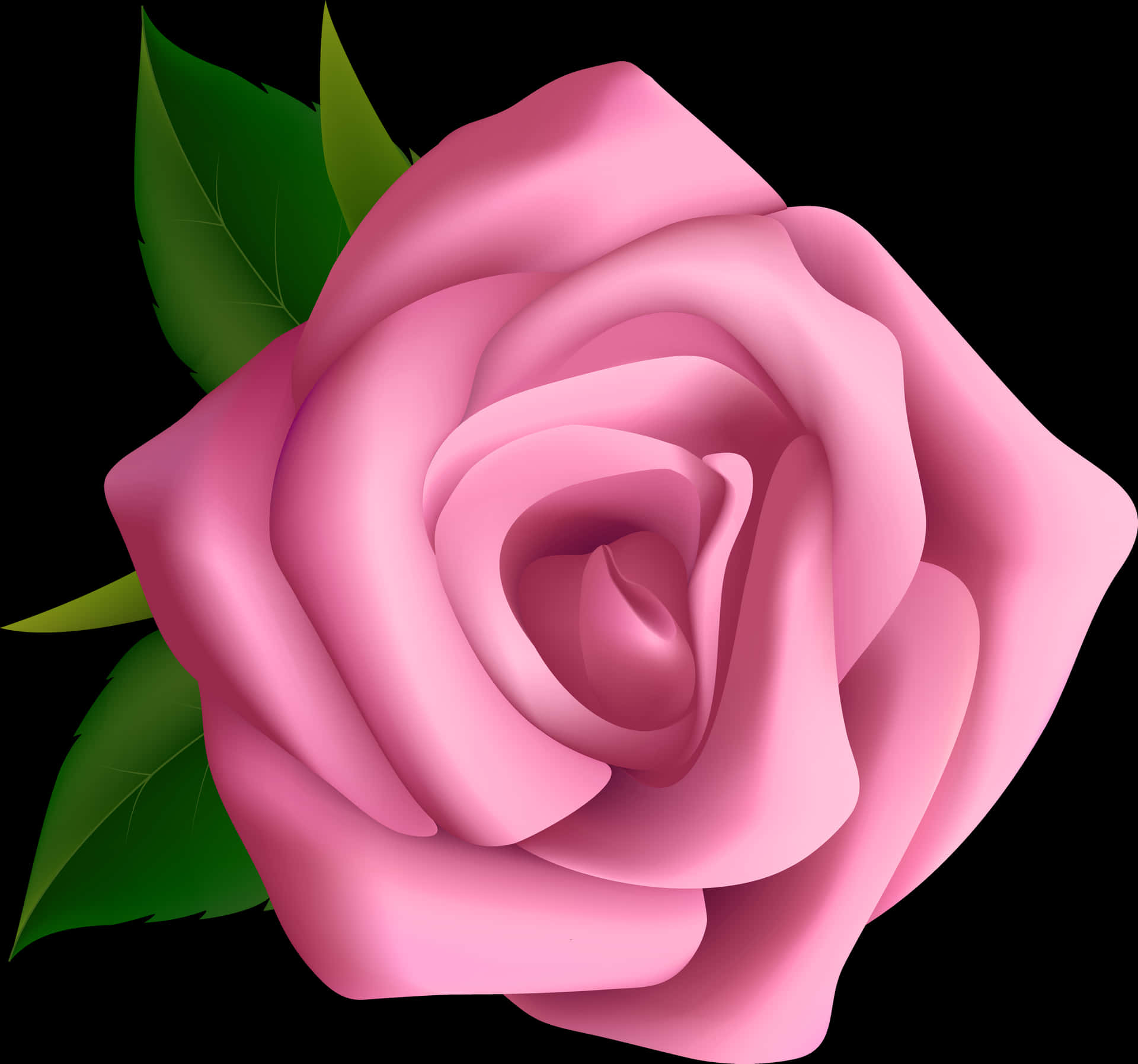 Pink Rose Black Background PNG