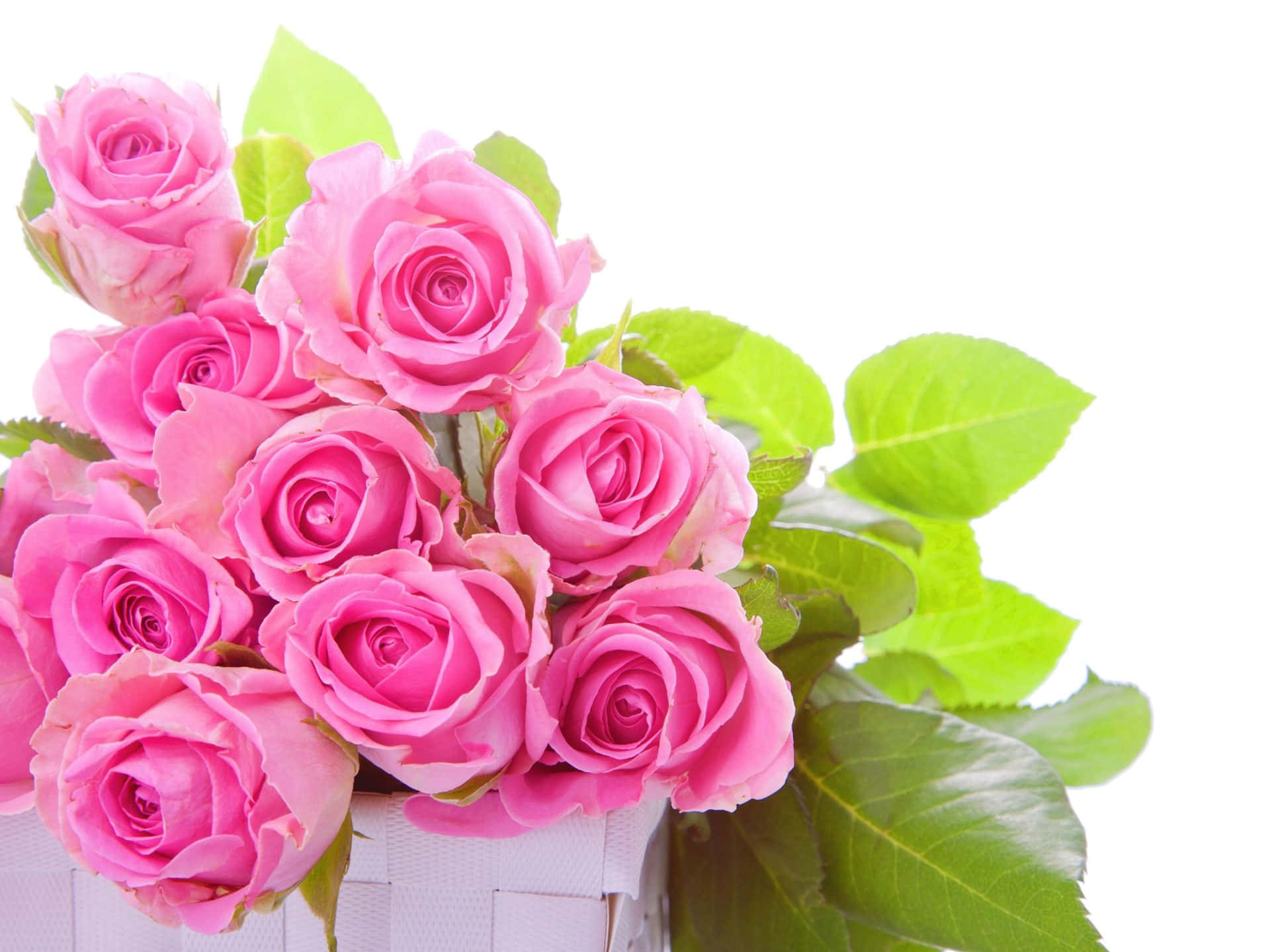 Pink Rose Bouquet Wallpaper