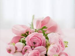 Lush Blooming Pink Rose Bouquet in Full Bloom Wallpaper