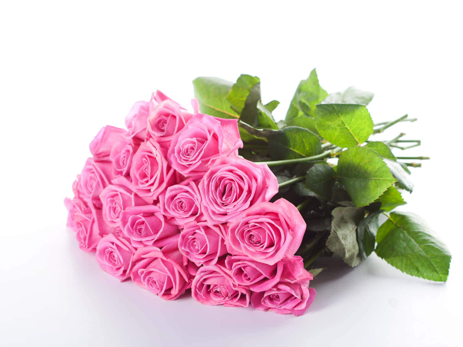 Pink Rose Bouquet Of Two Dozens Wallpaper