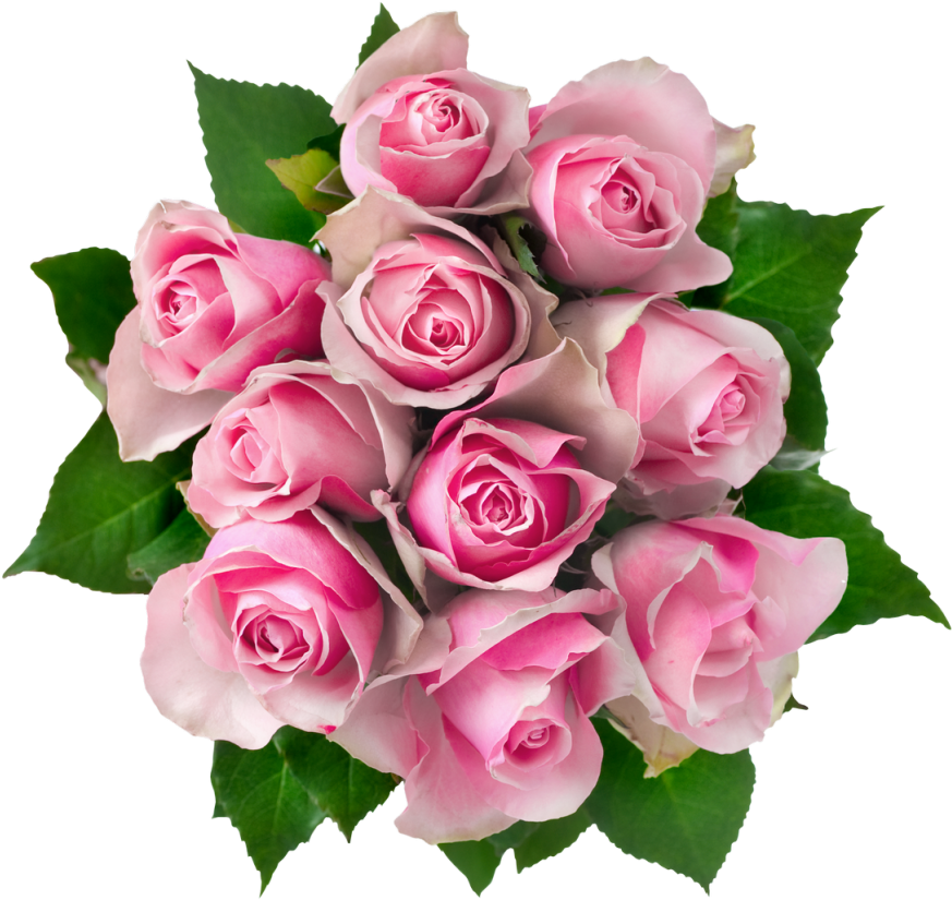 Download Pink Rose Bouquet Top View.png | Wallpapers.com