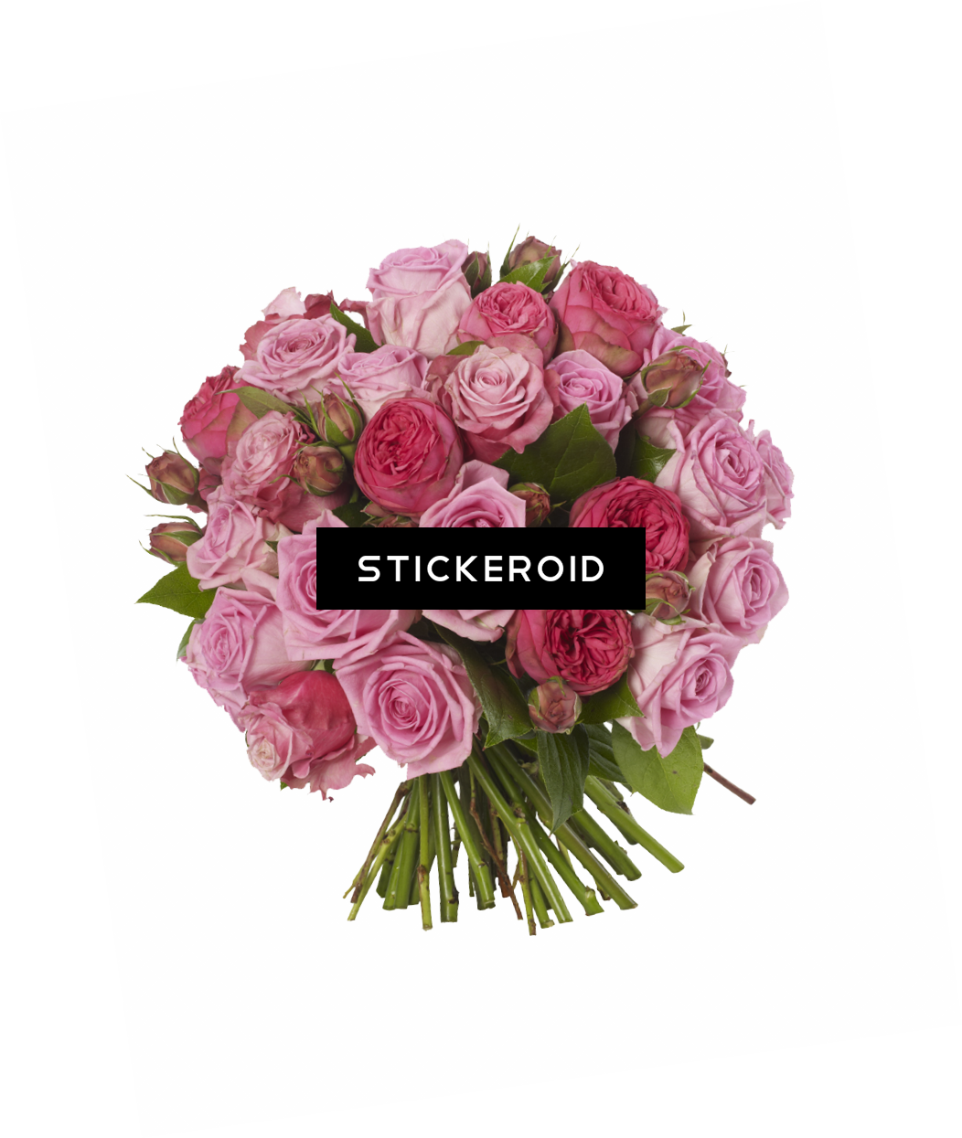 Pink Rose Bouquet Top View PNG