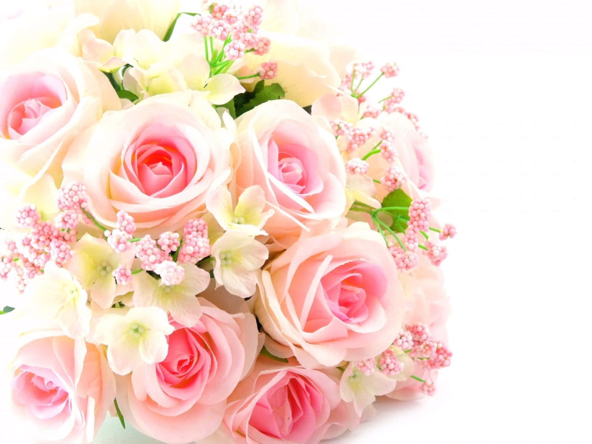 Pink Rose Bouquet With Pip Berry Stem Wallpaper