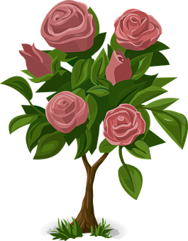 Pink Rose Bush Illustration PNG