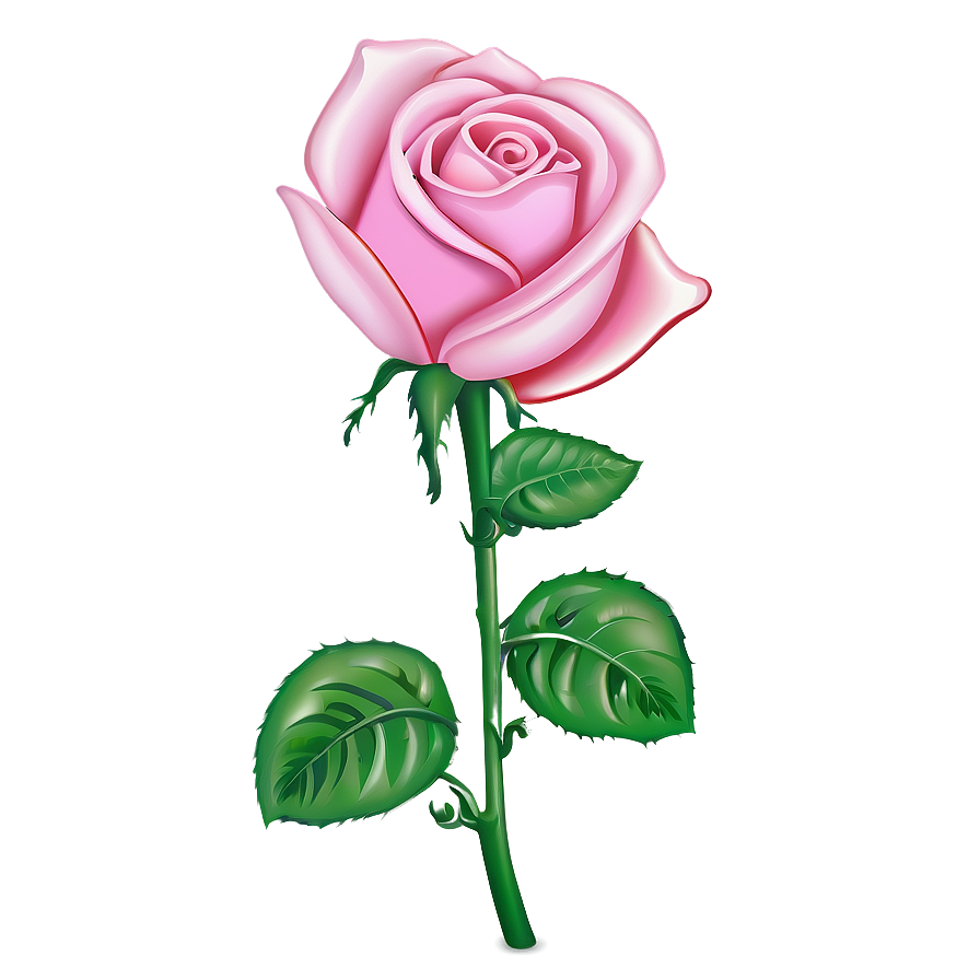 Pink Rose Drawing Png 10 PNG